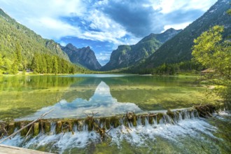 Crystal clear water flowing from lake dobbiaco, surrounded by majestic dolomites peaks, on a sunny