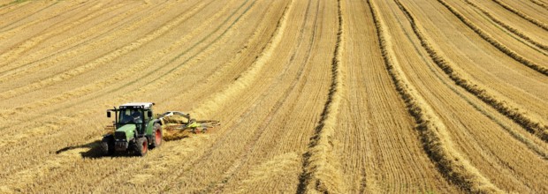 Tractor in stubble field harvesting and turning straw, Saalekreis, Saxony-Anhalt, Germany, Europe