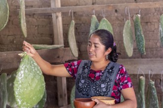 Teotitlan del Valle, Oaxaca, Mexico, Rural women in the Tlacolula Valley of Oaxaca benefit from a