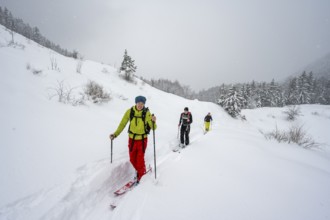 Ski tourer in snowfall in mountain landscape, ascent to Taubenstein, Mangfallgebrige, Bavaria,