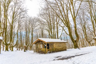The refuge next to trees in the snow-covered Oianleku Natural Park in the town of Oiartzun, next to