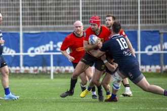 Rugby: Germany against MKS Pogon Awenta Siedlce, Poland in Heidelberg (test match of the German