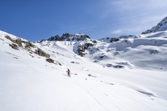 Ski tourer in mountain landscape with snow, ascent to Grialetsch Scharte, Bündner Haute Route,