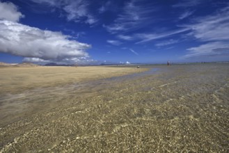 Playa Risco del Paso, Playa de Sotavento beach with calm sea and lively sky, Pajara, Fuerteventura,