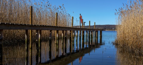 Landscape at Lake Neuensien on the island of Rügen, Mecklenburg-Western Pomerania, Germany, Europe
