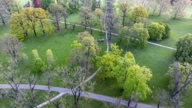 Rosenstein Park in spring with old trees and paths through the landscaped park. Aerial view.