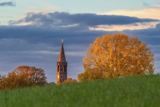Evening light on a tree in yellow autumn colours and the brick tower of the village church of