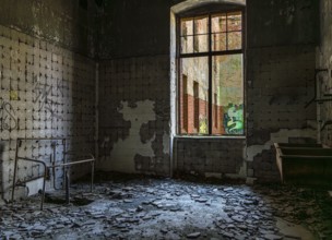 Interior view, former Alpine house on the historic site of the tuberculosis sanatorium in Beelitz,