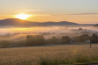 Oberlausitzer Bergland with fog at sunrise, view from Callenberg, Schirgiswalde-Kirschau, Saxony,