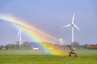 Artificial irrigation of a cereal field in April, with a sprinkler system, long dry spell in spring