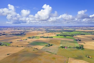 Aerial view over agricultural wheat fields, meadows, farmland and farms in Skåne län, Scania