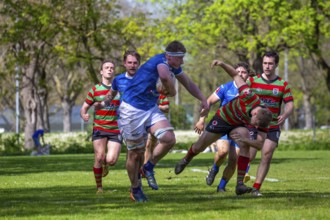 Heidelberg, 06.04.2024, Rugby 1st Bundesliga South/West, Season 2023/24, Matchday 10: SC Neuenheim