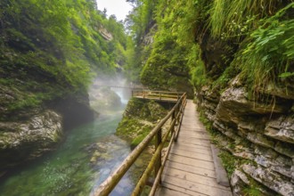 Breathtaking scenery of vintgar gorge with wooden walkways and turquoise water, a popular tourist