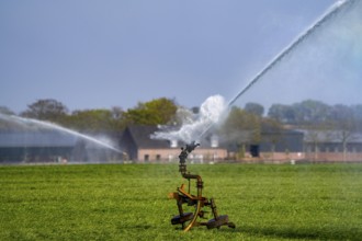 Artificial irrigation of a cereal field in April, with a sprinkler system, long dry spell in spring