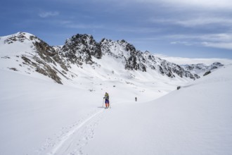 Ski tourer in mountain landscape with snow, ascent to Grialetsch Scharte, Bündner Haute Route,