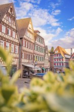 Colourful half-timbered houses in a historic town, blue sky and romantic flair, Calw in spring,