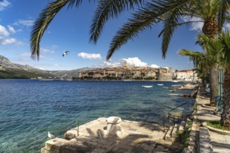 View of the old town and harbour of Korcula, Croatia, Europe
