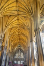 Vaulted roof ceiling inside Bristol cathedral church, Bristol, England, UK