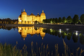Castle with reflection in the castle pond in the evening, Moritzburg, Saxony, Germany, Europe