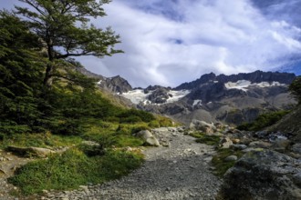 Ushuaia, Tierra del Fuego, Argentina, hiking trail to the Martial glacier on Cerro Martial,