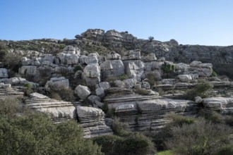 Bizarre limestone rock formations, El Torcal nature reserve, Torcal de Antequera, Malaga province,