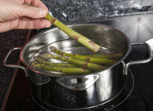South German cuisine, vegetables, vegetarian, preparation of green asparagus with rhubarb