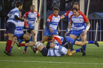 Rugby 1st Bundesliga South/West, season 2024/25, matchday 7 (catch-up match) : Heidelberger