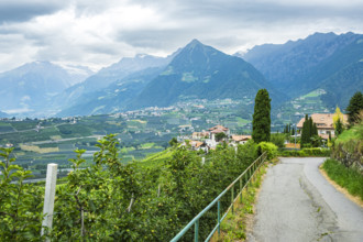 Orchards nestled in the picturesque Alpine landscape above Merano in the municipality of Scena,
