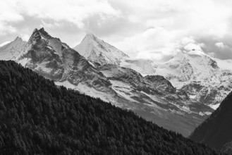 Snow-covered peaks of the mountains Le Besso and Obergabelhorn, black and white photo, Val