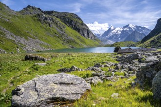 Mountain lake Lac de Louvie with glaciated summit of the Grand Combin, Val de Bagnes, Valais,