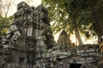 Ta Prohm, Angkor Wat, Angkor, UNESCO World Heritage Site, Siem Reap, Cambodia, Indochina, Southeast