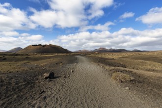 Hiking trail to the volcanic crater Caldera de Los Cuervos, lava fields, Los Volcanes nature park