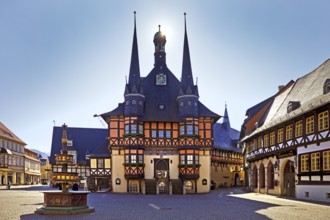 Market square with town hall backlit, Wernigerode, Harz, Saxony-Anhalt, Germany, Europe