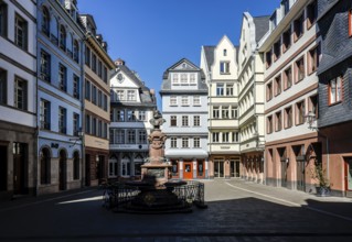 New Old Town, Hühnermarkt with Friedrich Stoltze Fountain, Frankfurt am Main, Hesse, Germany,
