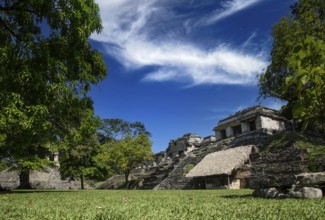 Beautiful pyramid that you can see in the temples of Palenque. Yucatan, Mexico, Central America