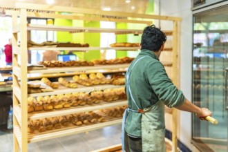 Rear view of a latin young man placing baked bread to shop using a peel