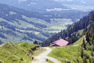 A path leads to the mountain hut, nestled in a green, wooded mountain landscape, Oberstaufen,