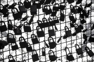 Padlocks, so-called love locks on a fence, vantage point in Wesel am Rhein, North Rhine-Westphalia,