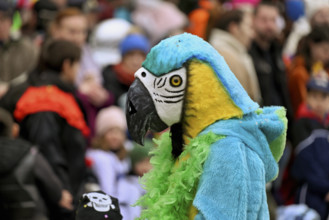 Person masked as a parrot at the carnival parade of the Wey guild on Rose Monday, Güdismäntig,