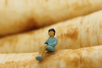 Miniature figure of a woman sitting on parsley root (Petroselinum crispum), root parsley, North