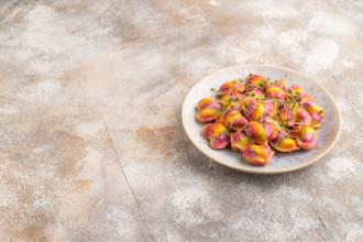Rainbow colored dumplings with pepper, herbs, microgreen on brown concrete background. Side view,