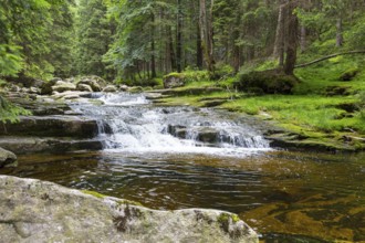 Mummelfall, Mummel waterfall near Harrachsdorf in the Giant Mountains, Czech Republic, Europe