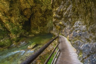 Scenic wooden walkway along radovna river in vintgar gorge near bled, a breathtaking natural wonder