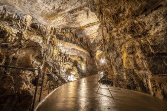 Tourists exploring the illuminated pathway within the breathtaking postojna cave, marveling at the