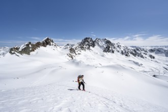 Ski tourer in mountain landscape with snow, view of summits Piz Grialetsch and Piz Vadret, ascent