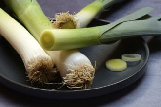 Leek, leek sticks on a plate, leek
