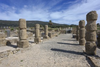 Street with column remains, Archaeological Museum Baelo Claudia, Cádiz, Spain, Europe