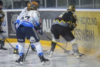 07.12.2024: German Women's Ice Hockey League, 2024/25 season: Mad Dogs Mannheim vs ERC Ingolstadt