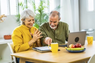 Senior couple going over their finances while sitting on their living room expressing happiness