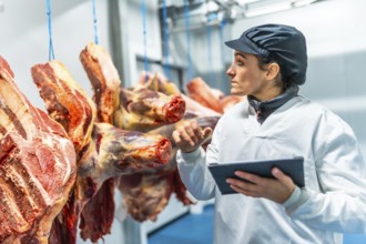 Butcher using technology in a innovative meat processing factory checking the meat using digital